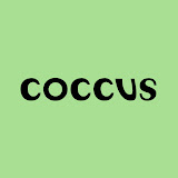 Cupom de desconto e Ofertas Coccus Bikinis