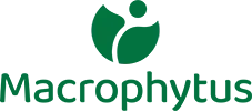 Macrophytus
