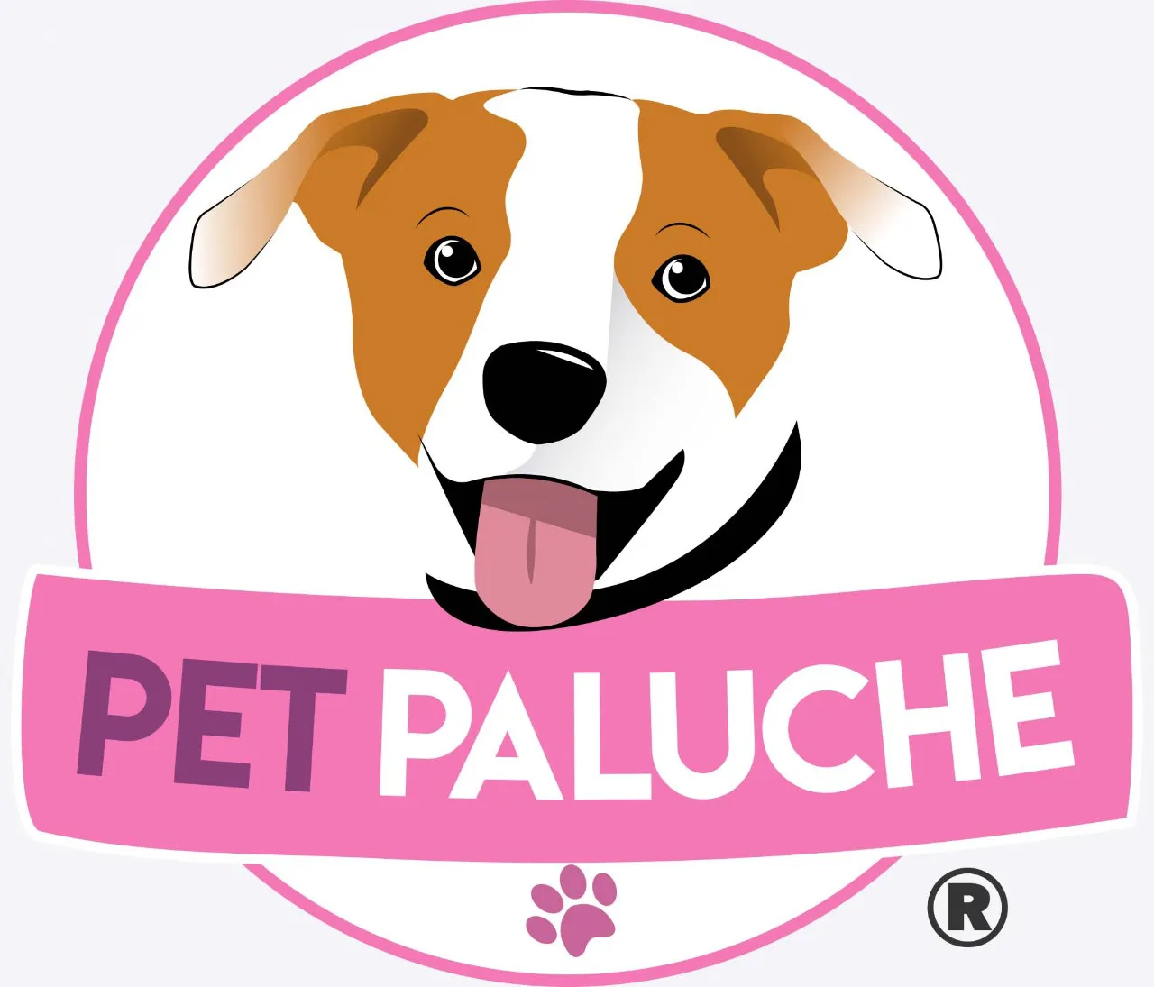 Cupom de desconto e Ofertas Pet Paluche