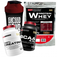 Kit Whey Protein 500 G + BCAA 4,5 100g + 100% Creatine 100 G + Coqueteleira - Marketplace