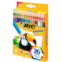 Lápis De Cor Sextavado, Bic, Evolution, 930230, 36 Cores