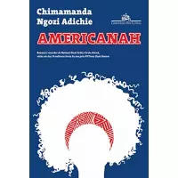 eBook Americanah - Chimamanda Ngozi Adichie