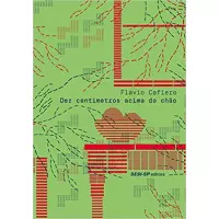 Livro Dez Centímetros Acima do Chão - Flavio Cafiero