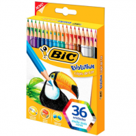 Lápis De Cor Sextavado, Bic, Evolution, 930230, 36 Cores