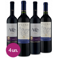 Winebox Duo Merlot Latinos