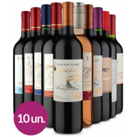 Kit 10 Vinhos + Frete Grátis - Wine