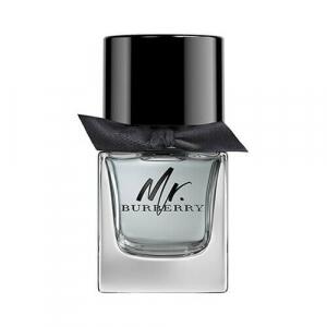 Perfume Mr. Burberry Masculino EDT 30ml