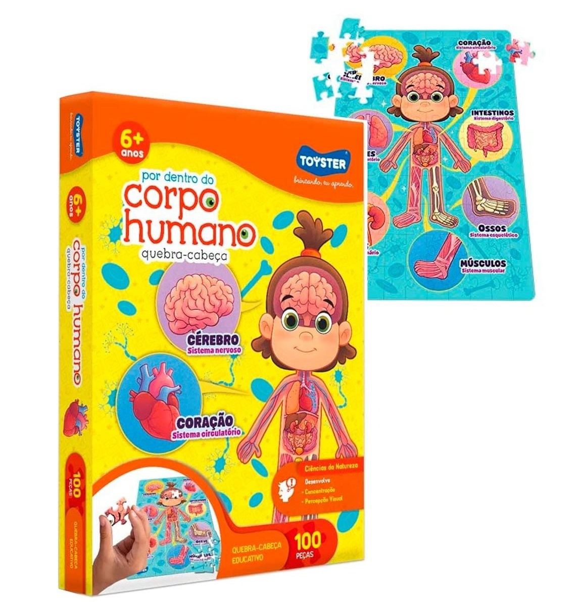 Quebra cabeça – Por dentro do Corpo Humano 100 peças