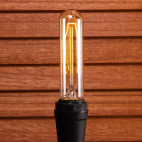 Lâmpada Decorativa T9 Hp Cage 220V