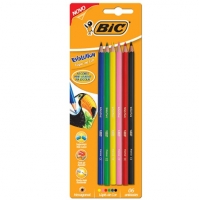 Lápis de Cor Sextavado, BIC, Evolution, 971088, 6 Cores