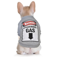 Roupa Para Cachorro - Moletom Gás P