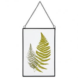 Placa Decorativa Arbórea 16x24cm na Tok&Stok