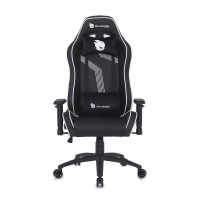 Cadeira Gamer Terabyte Razor, Reclinável, Suporta Até 150kg, Preto E Branco na Terabyte Shop