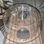 Boleira de Vidro Redonda com Tampa de Plástico – Ruvolo Bari 32cm na Magazine Luiza