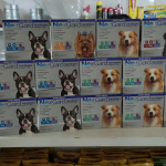 Ofertas em ANTIPULGAS e CARRAPATOS NexGard para cães na Amazon