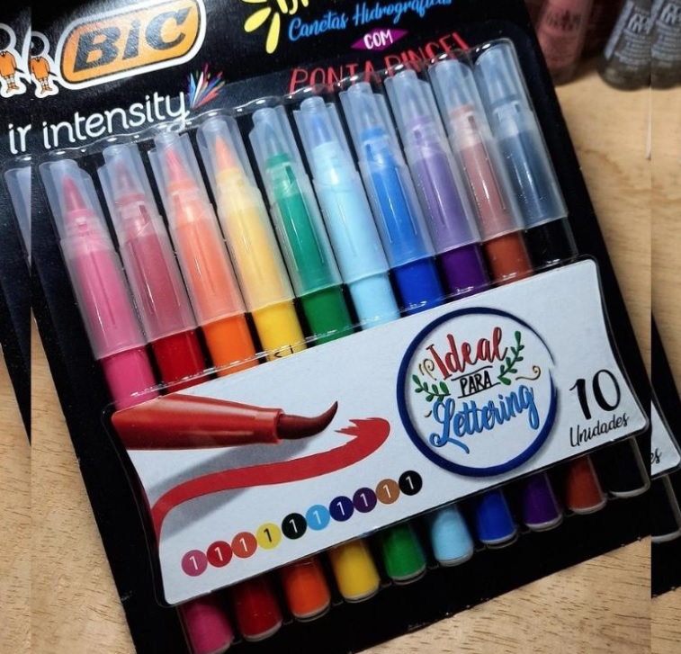 Caneta Hidrográfica BIC Intensity Brush Pens, Ponta Pincel, Traço Fino ou Grosso, 10 Cores, 970926, na Amazon
