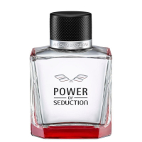 Power Of Seduction Antonio Banderas Eau De Toilette - Perfume Masculino 200ml na Ponto
