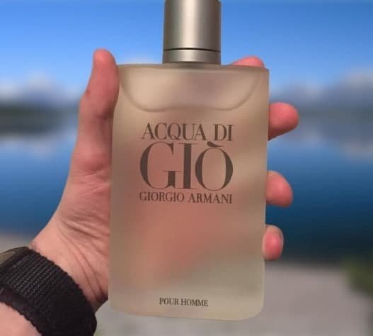 Acqua Di Gio Pour Homme Edt, Giorgio Armani na Amazon