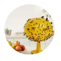 Adesivo Flexboard Pega Mosca na Aliexpress