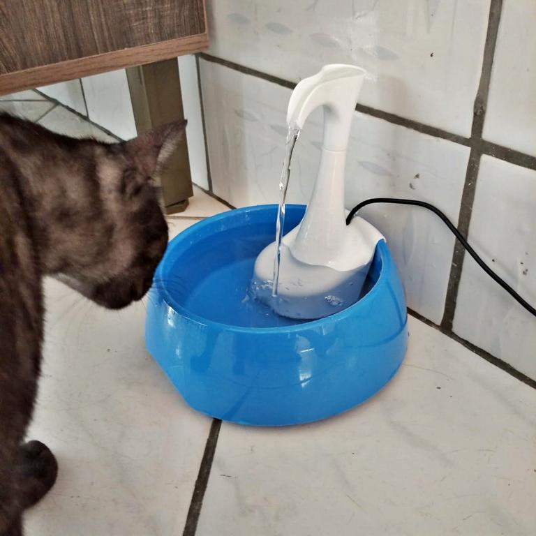 AMICUS – Fonte Bebedouro de água AQUA FIRST USB para Gatos e Cães Bivolt, Bebedouro para Animais de Estimação – Design Ergonômico, Portátil, Bivolt – 1,2L de Capacidade na Amazon