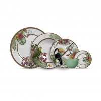 Aparelho De Jantar 20 Pçs Tropicos Alleanza na Amazon