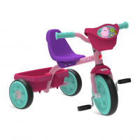 Bandeirante Triciclo Bandy Com Cestinha na Amazon