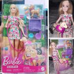 Barbie, Conjunto de Brinquedo, Passeio de Animais de Estimação com Cadeira de Rodas, 1 Boneca, 2 Cachorros e Acessórios na Amazon