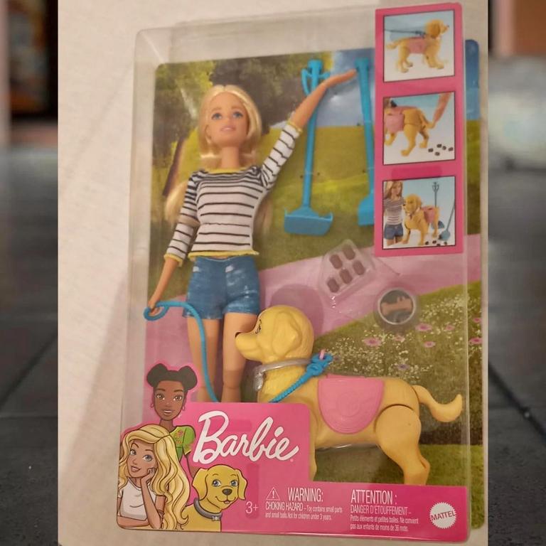 Barbie Passeio Com Cachorrinho Mattel Loira na Amazon