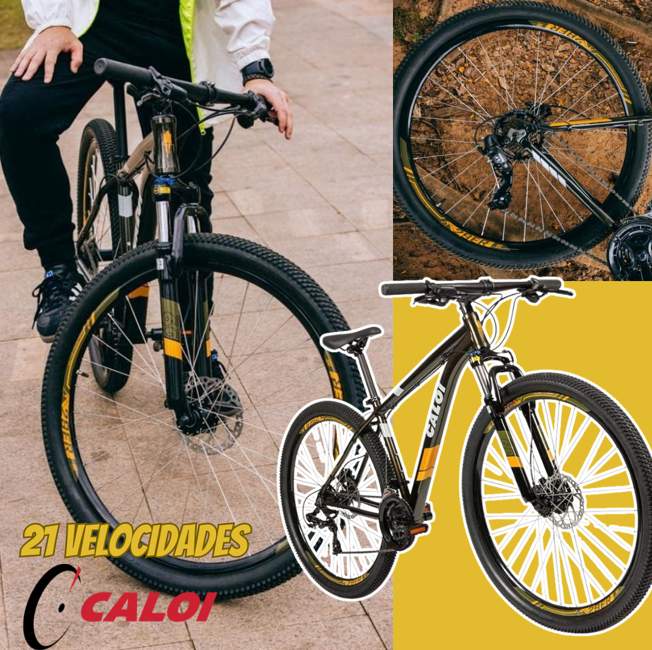 Bicicleta 29 TWO NINER PRO – Caloi na Amazon