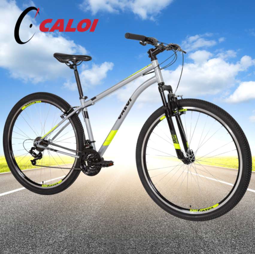 Bicicleta Caloi Two Niner, Aro 29, Tamanho 17, Alumínio T17R29V21 na Amazon
