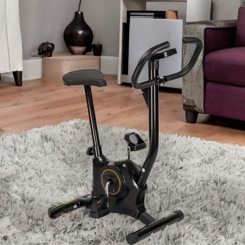 Bicicleta Ergométrica Vertical Gallant Trainer Gbe1hbta-pt na Amazon