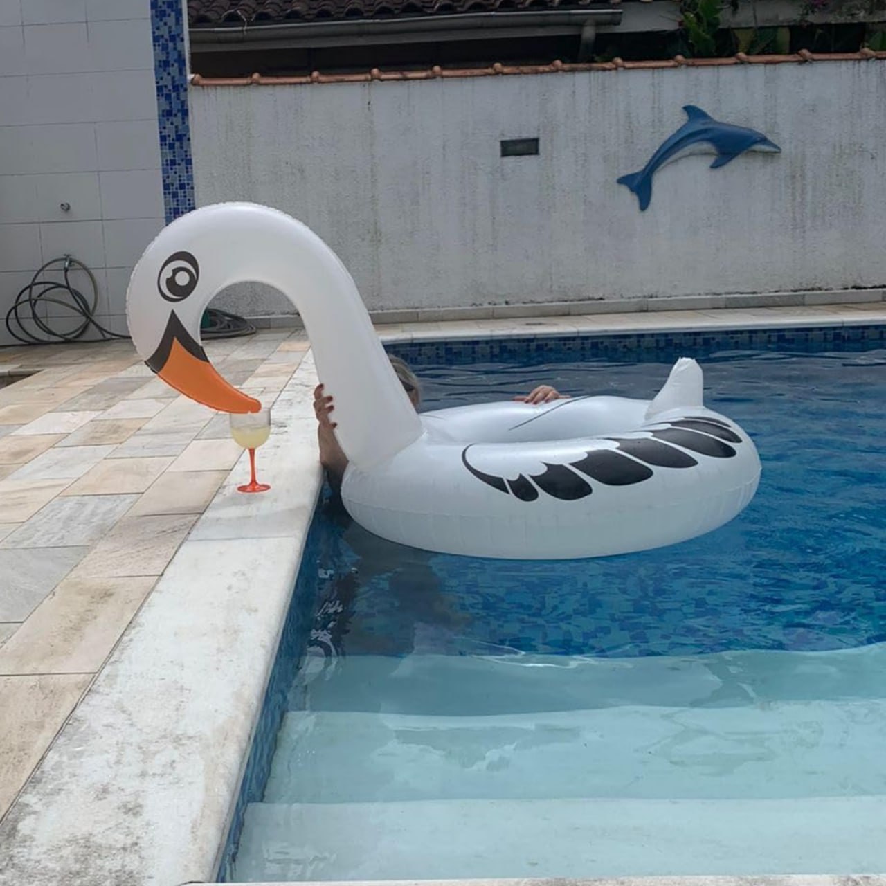 Boia Cisne Perolado Branco Com Abertura Mor Grande até 90Kg na Amazon