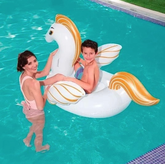 Boia Pégasus M MOR na Amazon