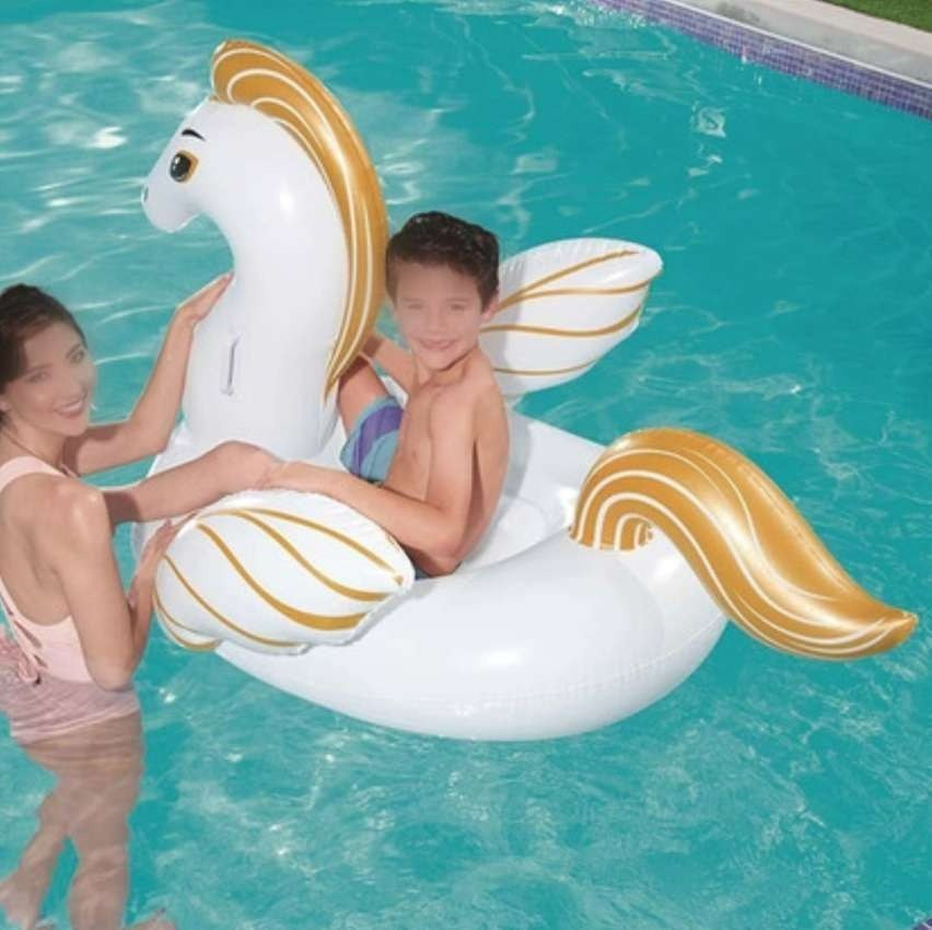 Boia Pégasus M MOR na Amazon