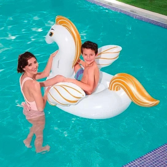 Boia Pégasus M na Amazon