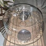 Boleira de Vidro Redonda com Tampa de Plástico – Ruvolo Bari 32cm na Magazine Luiza