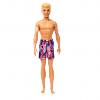 Boneco Ken De Praia Com Calção Rosa E Azul na Amazon