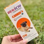 Bravecto® Cães 250mg na Amazon
