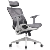 Cadeira De Escritório Dr. Office Ergo, Mesh, 3D, Altura Ajustável, Branco E Cinza, DR-CH-EGR3DWGF na Terabyte Shop