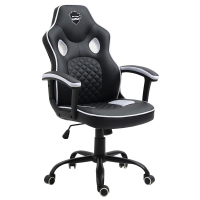 Cadeira Gamer Ninja Kaeru na Terabyte Shop