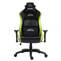 Cadeira Gamer Ninja Mamba, Reclinável, Preto E Verde na Terabyte Shop