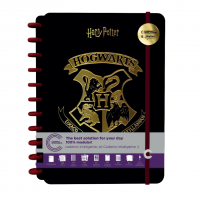 Caderno Inteligente, Grande, Harry Potter, 200x275 Mm, 80 Folhas na Amazon