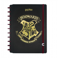 Caderno Inteligente, Grande, Harry Potter, 200x275 Mm, 80 Folhas na Amazon