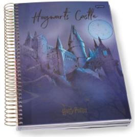 Caderno Universitário Harry Potter 10 Matérias Jandaia 63600-23 na Casa e Vídeo