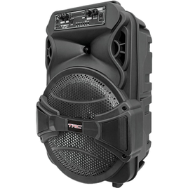 Caixa Amplificada Bluetooth 229W TRC 5529 na Casa e Vídeo