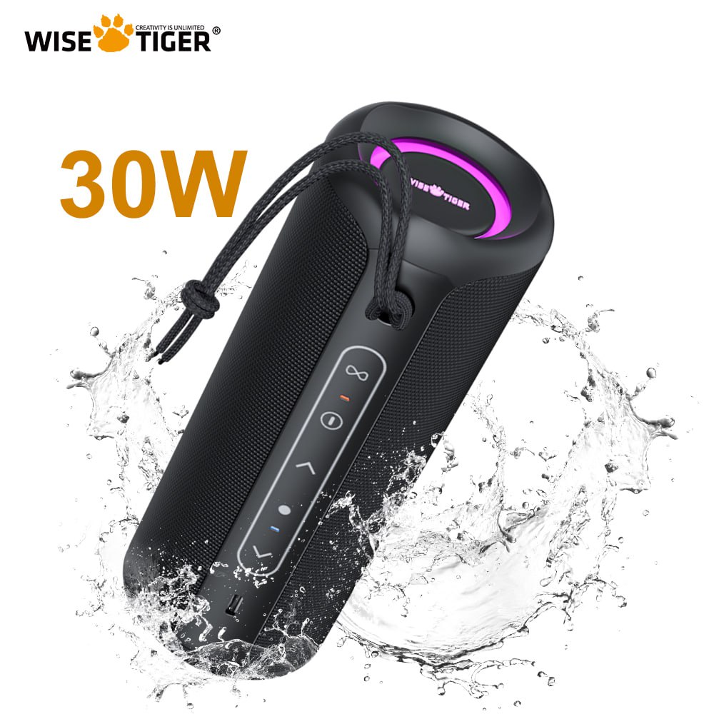 Caixa de Som Bluetooth Wise Tiger P3 na Aliexpress