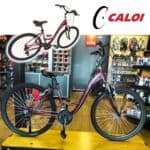 CALOI Bicicleta Ceci Aro 26, 21 Velocidades, Vinho na Amazon
