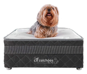 Cama Box Pet + Lençol Impermeável para Cachorros e Gatos Luxo Bf Colchões na Amazon