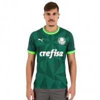 Camisa Puma Palmeiras I 2023 - Verde na Netshoes