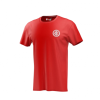Camiseta Internacional 1909 Masculina na Amazon